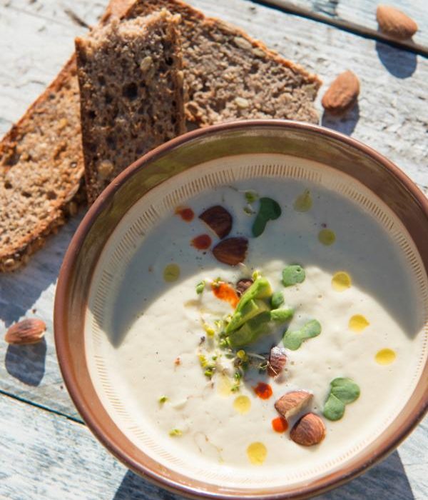 libro-recetas-faciles-veganas
