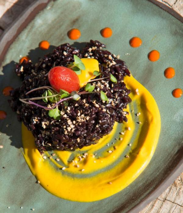 libro-recetas-faciles-veganas