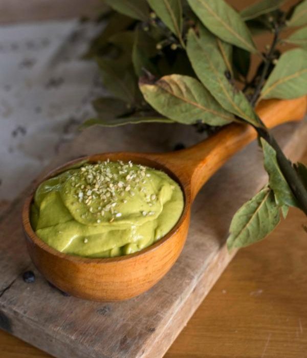 libro-recetas-faciles-veganas