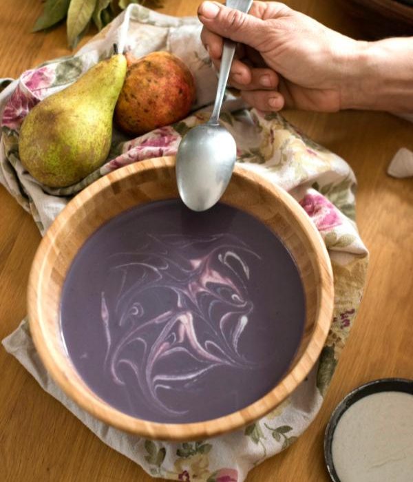 libro-recetas-faciles-veganas