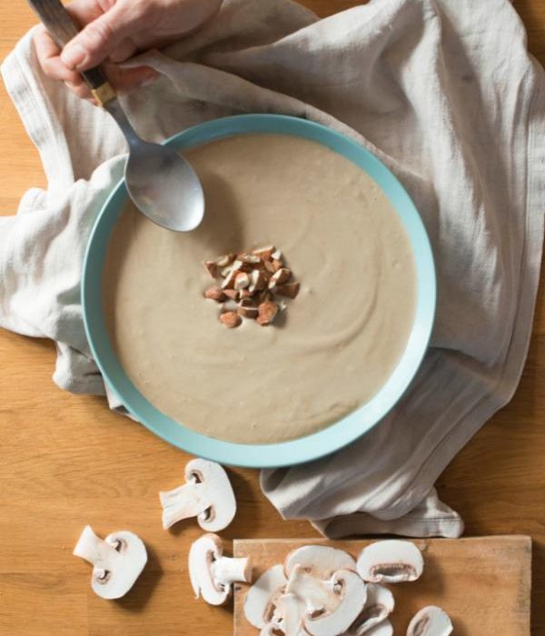 libro-recetas-faciles-veganas