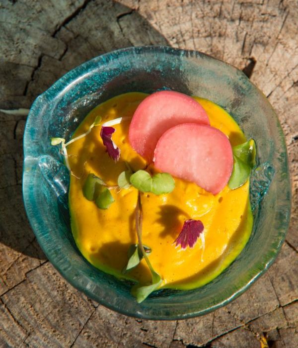 libro-recetas-faciles-veganas